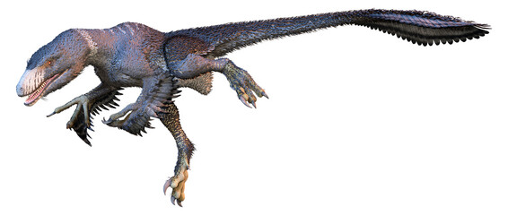 3D Rendering Dinosur Dakotaraptor on White