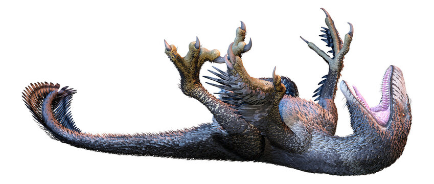 Dko Raptor รูปภาพDakotaraptor – เลือกดูภาพถ่ายสต็อก เวกเตอร์ และวิดีโอ114 | Adobe ...