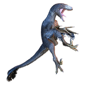 Dko Raptor รูปภาพDakotaraptor – เลือกดูภาพถ่ายสต็อก เวกเตอร์ และวิดีโอ114 | Adobe ...