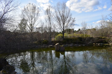 parque forestal valdebebas
