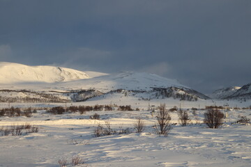 Fototapeta na wymiar Winter in Dovrefjell National Park , Norway