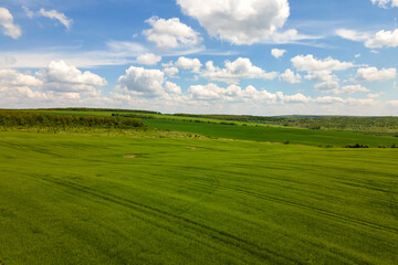 Aerial landscape view of green cultivated agricultural fields with growing crops on bright summer day