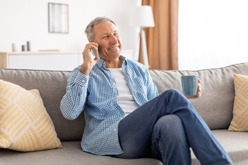 Cheerful mature man talking on cellphone sitting on sofa