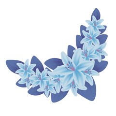 Illustration of decorative lilies on a white background.