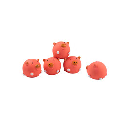 pet shop toys for dog and cat