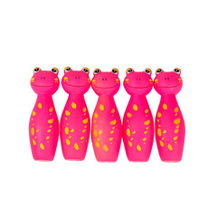 pet shop toys for dog and cat