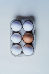 Be the exception. Studio shot of a box against a grey background containing half a dozen eggs with one egg being different from the rest.