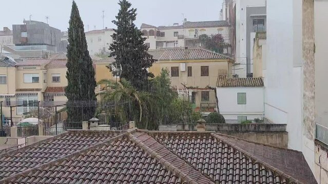 D&iacute;a de lluvia y tormenta con granizo en la ciudad de Ja&eacute;n.