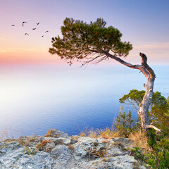 Romantik an Mallorcas Küste