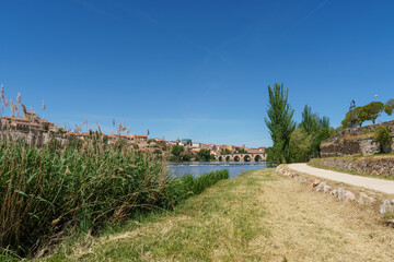 Fototapeta na wymiar Cityscape of Zamora and Duero river. Castilla y León. Spain