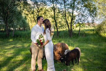 Happy young people in wedding attire are standing in the meadow and kissing, in the background are lambs in the meadow