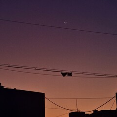 lines at sunset