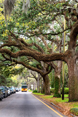 Scene along tree lined street in Savannah, Georgia on a spring day