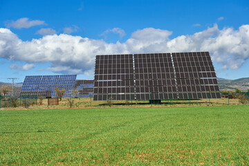 photovoltaic solar panels surrounded by green cereal crop fields and wind turbines in the mountains in the background