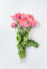 Creative summer composition made of bouquet of poppies flowers on white background. Beautiful floral layout in minimal style. Nature concept. Top view. Flat lay.