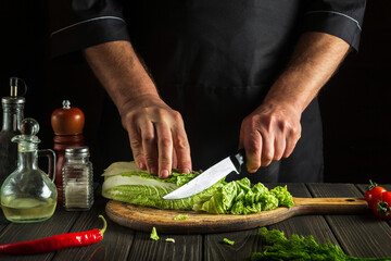 Professional chef cuts Peking cabbage with a knife. Cooking vegetable salad in kitchen. Vegetarian cuisine