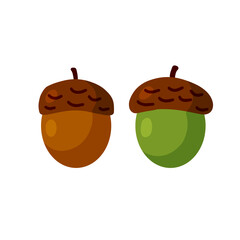 Acorn logo oak vector forest isolated on white background