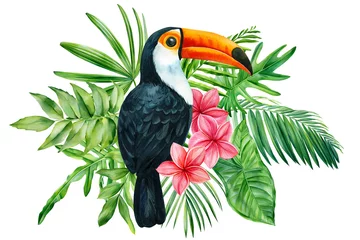 Foto op Aluminium floral exotic illustration with bird, tropical leaves, plumeria flowers. Toucan watercolor Isolated on white background © Hanna