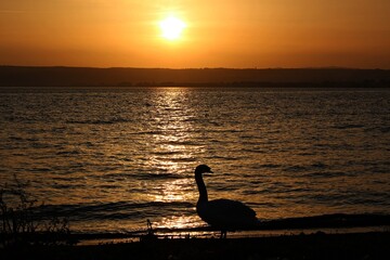 Italy, Umbria: Foreshortening of Sunset of the Trasimeno Lake.