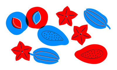 Tropical fruit appetizing set vector illustration. Abstract fruits red, blue print. Funny typography poster, apparel print design, menu. Minimalist art for logo, posters, wall art, healthy concept.