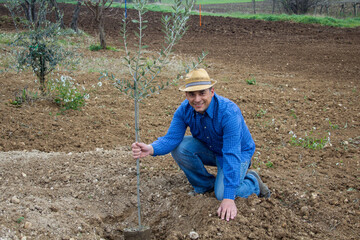 Smiling farmer wearing straw hat while planting an olive tree in a field