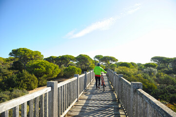 Fototapeta na wymiar Ciclista cruzando el puente sobre el Río San Pedro. Marisma de los Toruños y Pinar de la Algaida. Parque Natural Bahía de Cádiz, Andalucía, España.