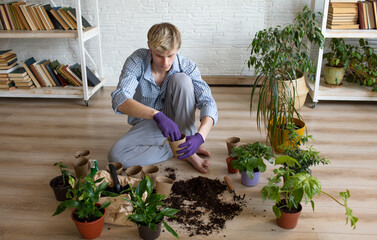 An attractive young man caring for domestic plants, transplants flowers, pours earth into flower pots.