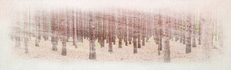 Digital watercolor chalk painting of Large panorama Autumn Fall pine forest landscape