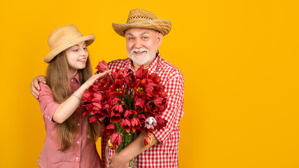 cheerful old grandfather with granddaughter hold tulip flowers on yellow background with copy space