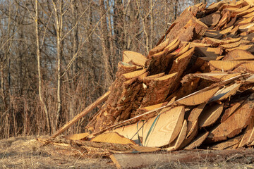 wooden boards piled on a stacks. Side boards of timber logs