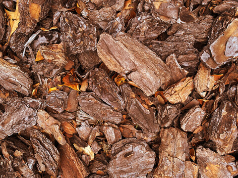 wood chip mulch tree bark ground cover landscaping garden chips