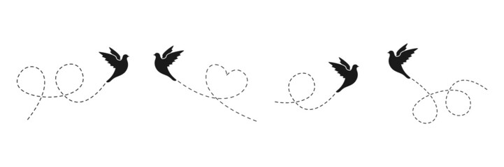 Birds set with line dotted route. Flying bird group. Black silhouettes. Vector isolated on white.