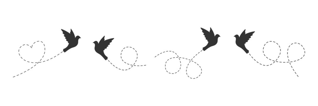 Birds set with line dotted route. Flying bird group. Black silhouettes. Vector isolated on white.