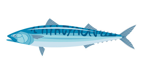 Sea fish mackerel. Underwater marine life. Cooking delicious food. Flat vector illustration isolated on a white background