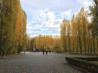 Park view of Berlin with colors of autumn