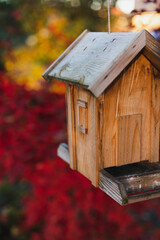 Birdhouse in the garden - autumn