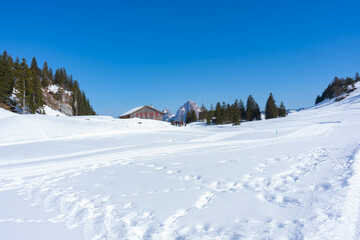 lumserberg: Skiers, snowboarders, carvers, families all enjoy their time on the ski runs of winter...