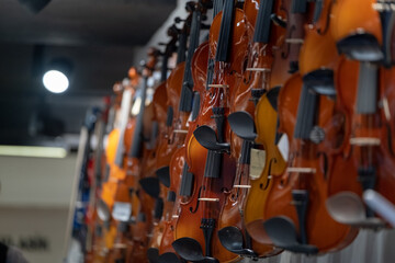 A lot of violins hanging on the wall in a music store