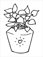 Сute hand drawn houseplant in a pot clipart. Plant illustration isolated on white background. Cozy home doodle.