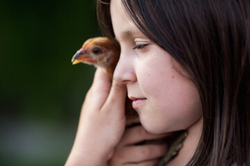 dzieci i zwierzęta - dziewczynka przytula z miłością swojego kurczaka - obrazy, fototapety, plakaty