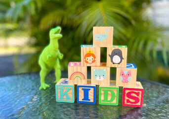 wooden game cubes for kids