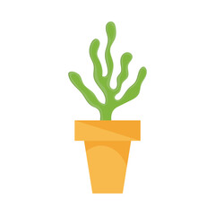 houseplant in yellow pot