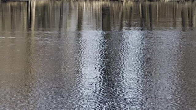 LUSTRZANE ODBICIA DRZEW W WODZIE. RUCHOME TŁO Z LUSTRZANYM ODBICIEM DRZEW W WODZIE.