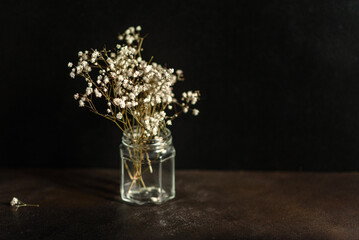 Beautiful twigs of dry gypsophile in a glass can