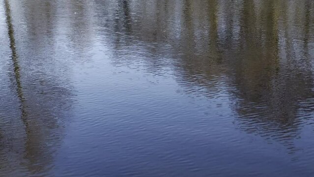 LUSTRZANE ODBICIA DRZEW W WODZIE. RUCHOME TŁO Z LUSTRZANYM ODBICIEM DRZEW W WODZIE.