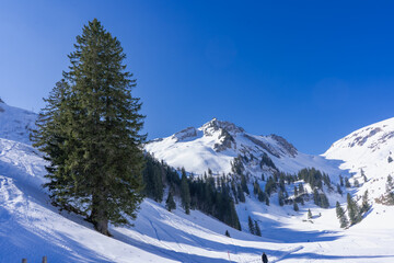 Stoos is a car-free leisure, sports and vacation resort with a fully comprehensive infrastructure and extremely varied offers for winter sports enthusiasts of all kinds. Schwyz, Muotatal, Morschach.