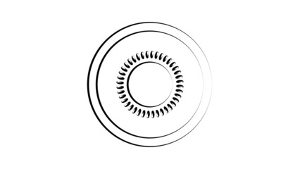 Fototapeta premium slice of kiwi on a white background. illustration. fruit in a cut with seeds. round piece of kiwi, delicious fruit, kiwi with black seeds