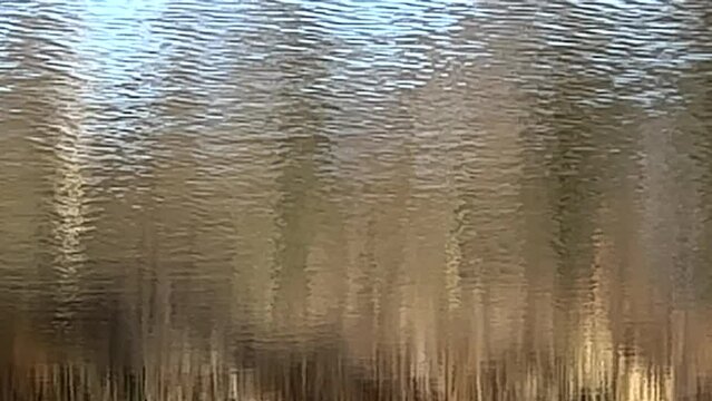 LUSTRZANE ODBICIA DRZEW W WODZIE. RUCHOME TŁO Z LUSTRZANYM ODBICIEM DRZEW W WODZIE.