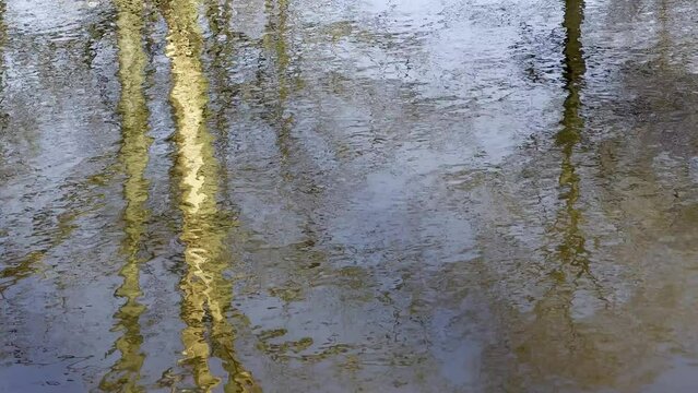 LUSTRZANE ODBICIA DRZEW W WODZIE. RUCHOME TŁO Z LUSTRZANYM ODBICIEM DRZEW W WODZIE.