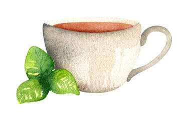Tea and mint. Watercolor hand drawn - 495979927